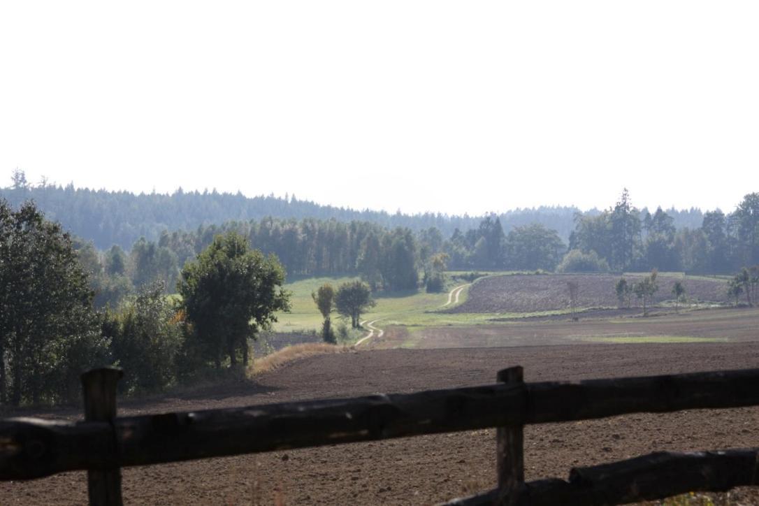 Mirachowo Widokowka Kaszuby 빌라 외부 사진